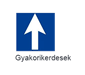 gyakorikerdesek